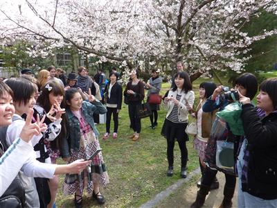 Hanami interchange